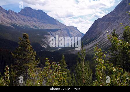 Les spectaculaires Rocheuses canadiennes sur la promenade Icefield dans le parc national Jasper Banque D'Images