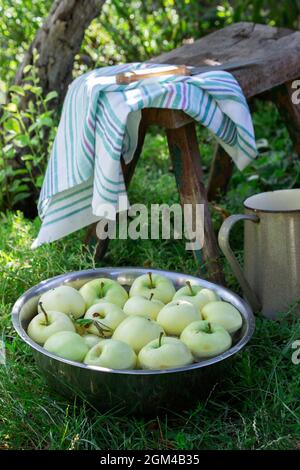 Un bassin avec de l'eau et des pommes sur le fond d'un jardin d'été. Banque D'Images