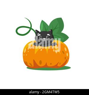 Mignon chat noir Halloween à l'intérieur de la grande citrouille. Illustration vectorielle isolée. Adorable personnage animal Illustration de Vecteur