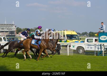 Jockeys et chevaux quittant les portes de départ au début d'une course à l'hippodrome de York. Banque D'Images