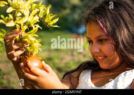 Belle fille gitane avec de longs cheveux noirs et robe blanche avec des fruits grenade Banque D'Images