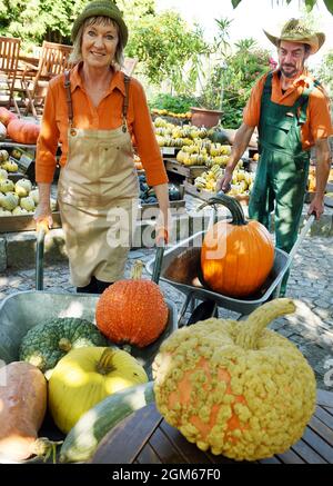 08 septembre 2021, Saxe, Zwethau: Andrea et Jörg Schmidt conduisent diverses citrouilles dans le jardin de leur 'domicile de citrouille' à leur zone d'exposition en utilisant des brouettes. Des milliers de citrouilles comestibles et ornementales d'environ 100 variétés sont actuellement récoltées à partir de leur zone de culture et sont offertes à la vente dans leur musée du jardin. Les fruits de trois à 80 centimètres de haut ou de large colorés ou gris, vert et blanc incluent la muscade, spaghetti, ou casperita et la courge d'Acorn, ainsi que la plus petite de trois à cinq centimètres de courge décorative verte et blanche avec le plus long nom 'Dancing ou SP Banque D'Images