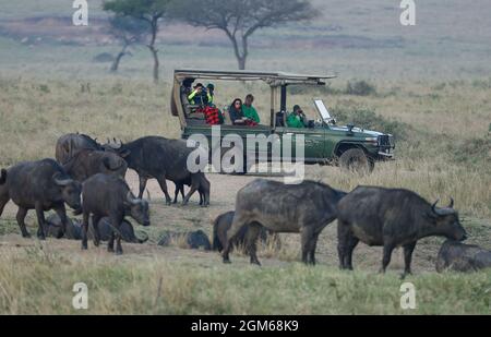 Nairobi, Kenya. 30 août 2021. Les touristes vont visiter la réserve nationale de Masai Mara, Kenya, 30 août 2021. Le Kenya cherche à attirer plus de visiteurs pour le reste de l'année dans le contexte de la reprise du secteur mondial des voyages. Pour les six premiers mois de 2021, le pays a reçu 305,635 voyageurs étrangers, selon Najib Balala, secrétaire du cabinet du ministère du Tourisme et de la faune. Crédit : long Lei/Xinhua/Alay Live News Banque D'Images