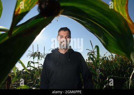 Hohendodeleben, Allemagne. 08 septembre 2021. Le cultivateur de terres arables Phillip Krainamener se tient dans son champ de maïs. Le jeune agriculteur de la Börde expérimente le maïs. Il explique son travail en ligne avec des photos, des vidéos et des textes courts. Et maintenant, il cherche aussi le chemin pour le consommateur de cette façon, pour les amateurs de maïs et de maïs soufflé. Credit: Klaus-Dietmar Gabbert/dpa-Zentralbild/dpa/Alay Live News Banque D'Images