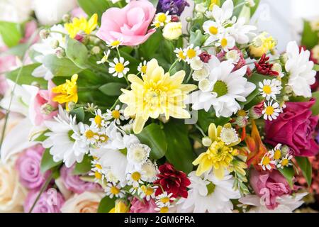 Bouquet printanier de fleurs de chrysanthèmes lumineux. Fond multicolore fait de différentes fleurs Banque D'Images