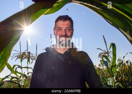 Hohendodeleben, Allemagne. 08 septembre 2021. Le cultivateur de terres arables Phillip Krainamener se tient dans son champ de maïs. Le jeune agriculteur de la Börde expérimente le maïs. Il explique son travail en ligne avec des photos, des vidéos et des textes courts. Et maintenant, il cherche aussi le chemin pour le consommateur de cette façon, pour les amateurs de maïs et de maïs soufflé. (À dpa 'un agriculteur explicatif et son pop-corn de la Börde') Credit: Klaus-Dietmar Gabbert/dpa-Zentralbild/dpa/Alay Live News Banque D'Images