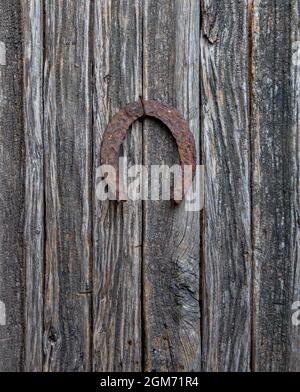 Étrier à Cheval Ancien En Fer - Jamais Rouillé - Style Anglais - Occasion Authentique