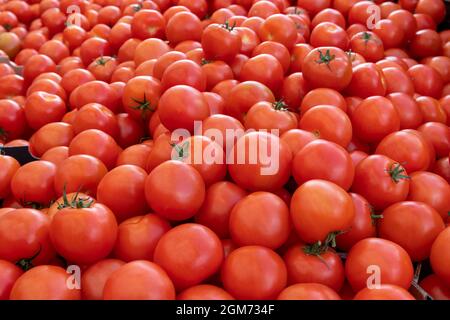 Grande pile de tomates fraîches et biologiques sur un marché à Southall, Middlesex Banque D'Images