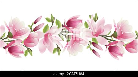 Fleurs de Magnolia. Une branche de magnolia avec des fleurs roses et des feuilles sur fond blanc. Fleurs de printemps en vecteur. Illustration vectorielle. Illustration de Vecteur