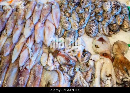 Calmars frais, seiches et poulpes dans un plateau au marché aux poissons de Catane la Pescheria di Sant Agata. Sicile, Italie Banque D'Images