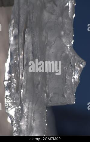 La fonte de la glace fait tomber la neige d'hiver Banque D'Images