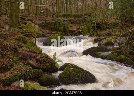 Le premier moulin de Cornouailles à fabriquer des gunpowderis est une belle forêt avec des vestiges fascinants de son passé industriel en tant qu'usine de poudre à canon, Banque D'Images