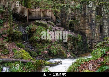 Le premier moulin de Cornouailles à fabriquer des gunpowderis est une belle forêt avec des vestiges fascinants de son passé industriel en tant qu'usine de poudre à canon, Banque D'Images