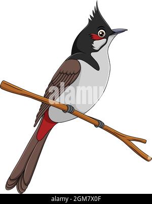 Illustration de vecteur de dessin animé d'oiseau Bulbul à moustaches rouges Illustration de Vecteur
