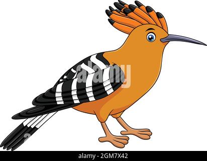 Illustration de vecteur de dessin animé d'oiseau de Hoopoe mignon Illustration de Vecteur