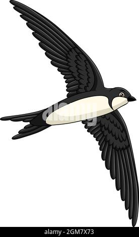 Illustration de vecteur de dessin animé de joli oiseau Swift Illustration de Vecteur