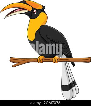 Illustration vectorielle de dessin animé d'oiseau mignon Hornbill Illustration de Vecteur