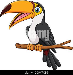 Illustration vectorielle de dessin animé d'oiseau Toucan mignon Illustration de Vecteur