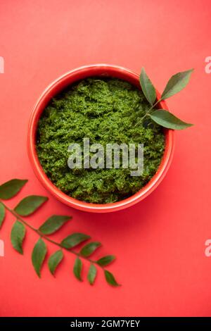 feuilles de curry ou chutney de kadi patta dans un bol Banque D'Images