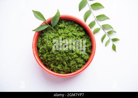 feuilles de curry ou chutney de kadi patta dans un bol Banque D'Images