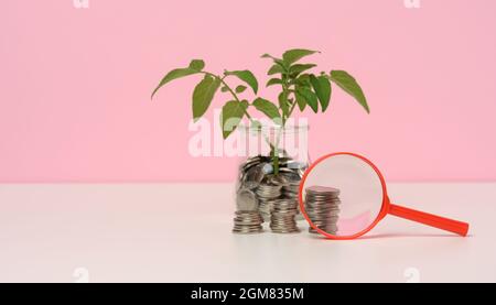 loupe rouge et pièces blanches dans un pot en verre et sur la table, germe avec des feuilles vertes. Concept de croissance du revenu, pourcentage élevé d'investissement Banque D'Images