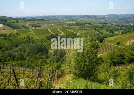 Paysage rural au printemps à Monferrato près de Rivalta Bormida, province d'Alessandria, Piémont, Italie, site du patrimoine mondial de l'UNESCO. Banque D'Images