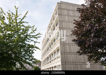 Allbrook House, Alton Estate, Roehampton, Londres, SW15, Angleterre, Royaume-Uni Banque D'Images