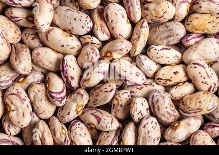 Haricots canneberges séchés. Haricots Borlotti. Vue de dessus. Banque D'Images