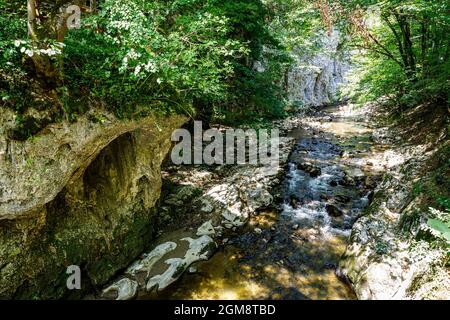 Le Bigar cascada dans le parc national de Chérile Nerei-Beușnița en Roumanie Banque D'Images