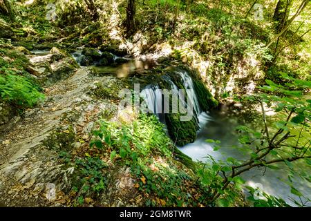 Le Bigar cascada dans le parc national de Chérile Nerei-Beușnița en Roumanie Banque D'Images