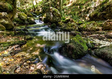 Le Bigar cascada dans le parc national de Chérile Nerei-Beușnița en Roumanie Banque D'Images