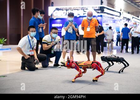 Changsha, province chinoise du Hunan. 17 septembre 2021. Les visiteurs regardent un chien robot et un bœuf robot à la Conférence mondiale de l'informatique 2021 à Changsha, dans la province du Hunan, au centre de la Chine, le 17 septembre 2021. Credit: Chen Sihan/Xinhua/Alay Live News Banque D'Images