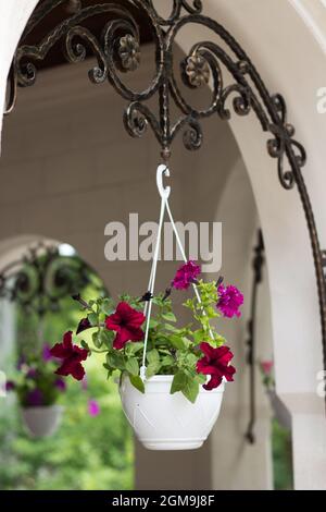 Belle entrée de la maison de charpente de pot de fleurs Banque D'Images