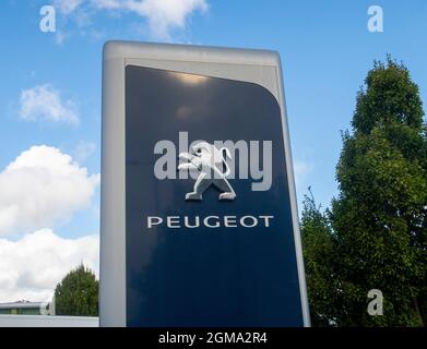 Logo et panneau de voiture Peugeot à l'extérieur de la salle d'exposition du concessionnaire automobile, Exeter Banque D'Images