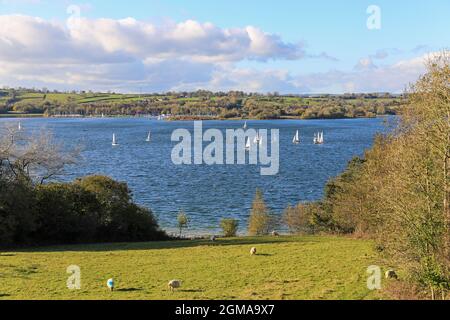 Bateaux à voile et yachts sur le réservoir d'eau de Carsington, Carsington, Derbyshire, Angleterre, Royaume-Uni Banque D'Images