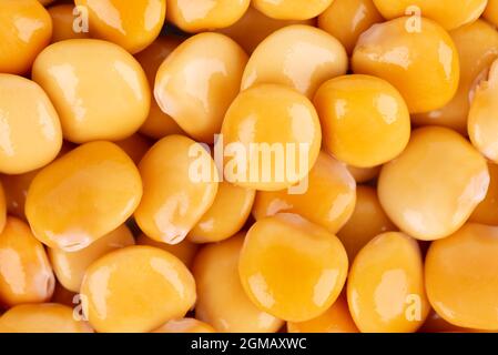 Arrière-plan de haricots lupin jaunes marinés. Tournus, lupinus conservé. Banque D'Images