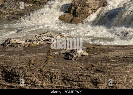 Drifwood sur la roche du milieu de la rivière à basse eau, Paine Cascades, Torres del Paine, Patagonie Banque D'Images