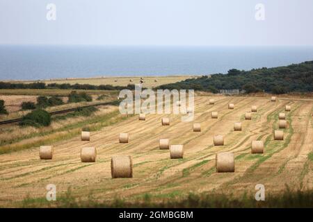 Sheringham, Royaume-Uni. 16 septembre 2021. Balles de foin, près de Sheringham, Norfolk, Royaume-Uni, le 16 septembre, 2021, avant le week-end des années 1940. Crédit : Paul Marriott/Alay Live News Banque D'Images