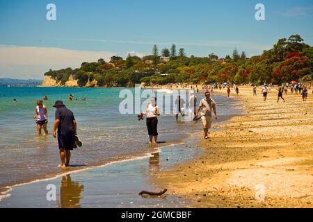 Plage de Takapuna Banque D'Images