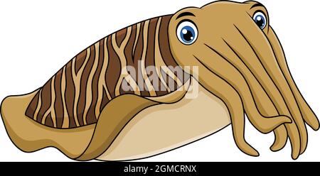 Jolie illustration vectorielle de dessin animé Cuttlefish Illustration de Vecteur