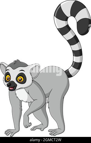 Illustration vectorielle de dessin animé mignon Lemur Illustration de Vecteur