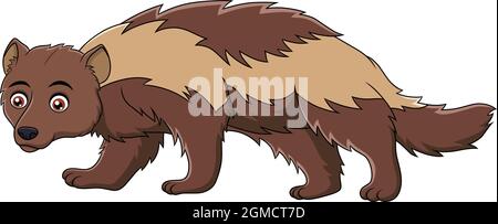 Illustration vectorielle de dessin animé d'animaux Wolverine mignonne Illustration de Vecteur