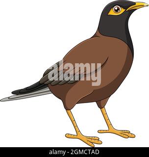 Illustration de vecteur de dessin animé de Myna Bird mignon Illustration de Vecteur