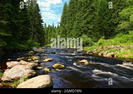 Belle rivière avec pierres et arbres dans les montagnes avec forêt. Nature - paysage. Fond bleu ciel et soleil - Vydra rivière à Sumava, Czec Banque D'Images