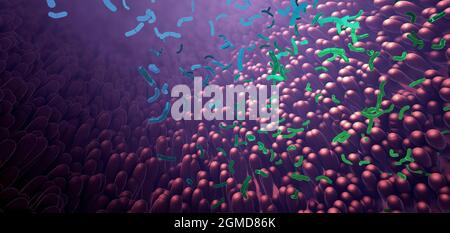 Bactéries dans le microbiome intestinal du tube digestif - illustration 3d Banque D'Images