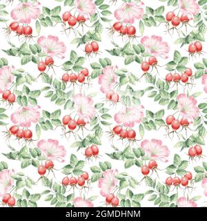 Motif rose sans couture pour le thé, carte cadeau rose, illustration florale, baies. Banque D'Images