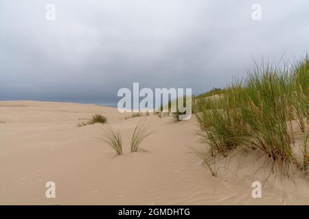 Vue sur les dunes de sable qui s'erraient sans fin dans le parc national de Slowinski, sur la mer Baltique, dans le nord de la Pologne Banque D'Images