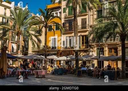 Palma de Majorque, Espagne; septembre 10 2021: Plaza de la Lonja dans le centre historique de Palma de Majorque au coucher du soleil en été. Touristes ayant une dr Banque D'Images