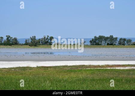 Autriche, parc national de Neusiedleree-Seewinkel au Burgenland dans les basses terres de Pannonian, destination d'excursion populaire avec paysage de steppe, zones humides, Banque D'Images