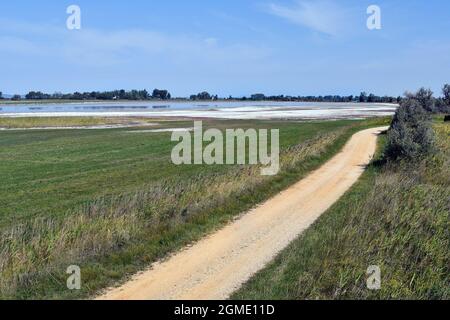 Autriche, parc national de Neusiedleree-Seewinkel au Burgenland dans les basses terres de Pannonian, destination d'excursion populaire avec paysage de steppe, zones humides, Banque D'Images